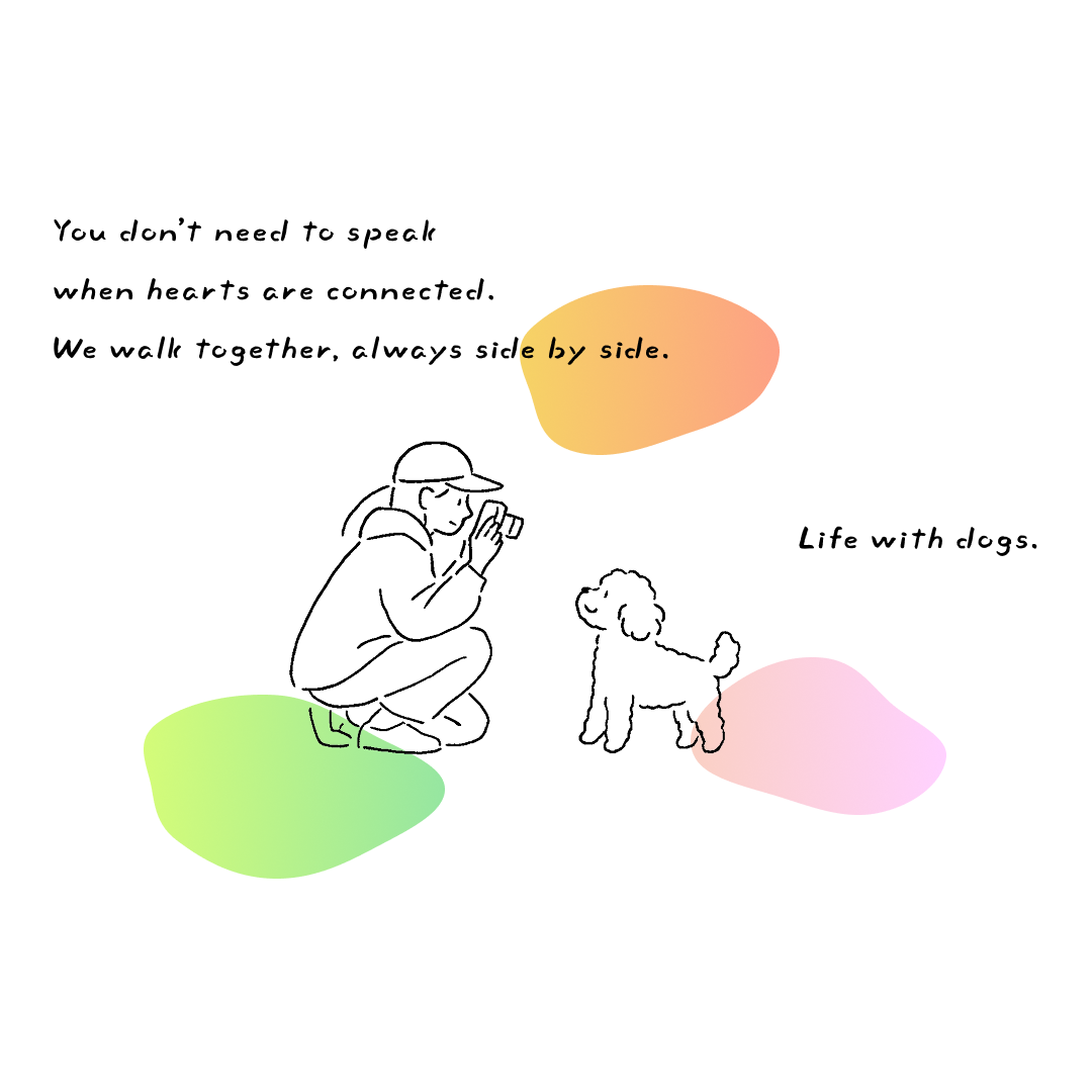 Life with dogs. Sweat – White