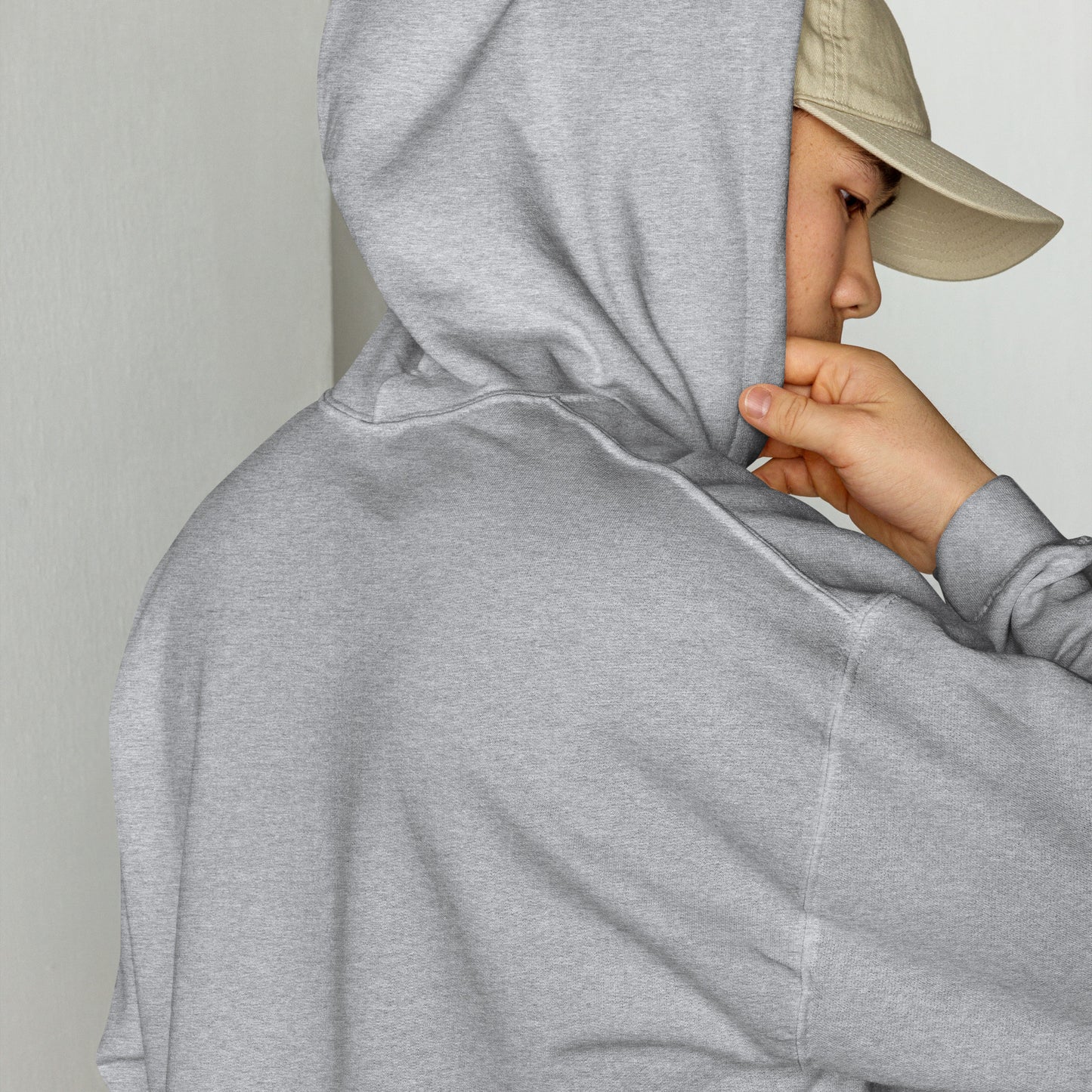 Life with dogs.  Hoodie – Grey
