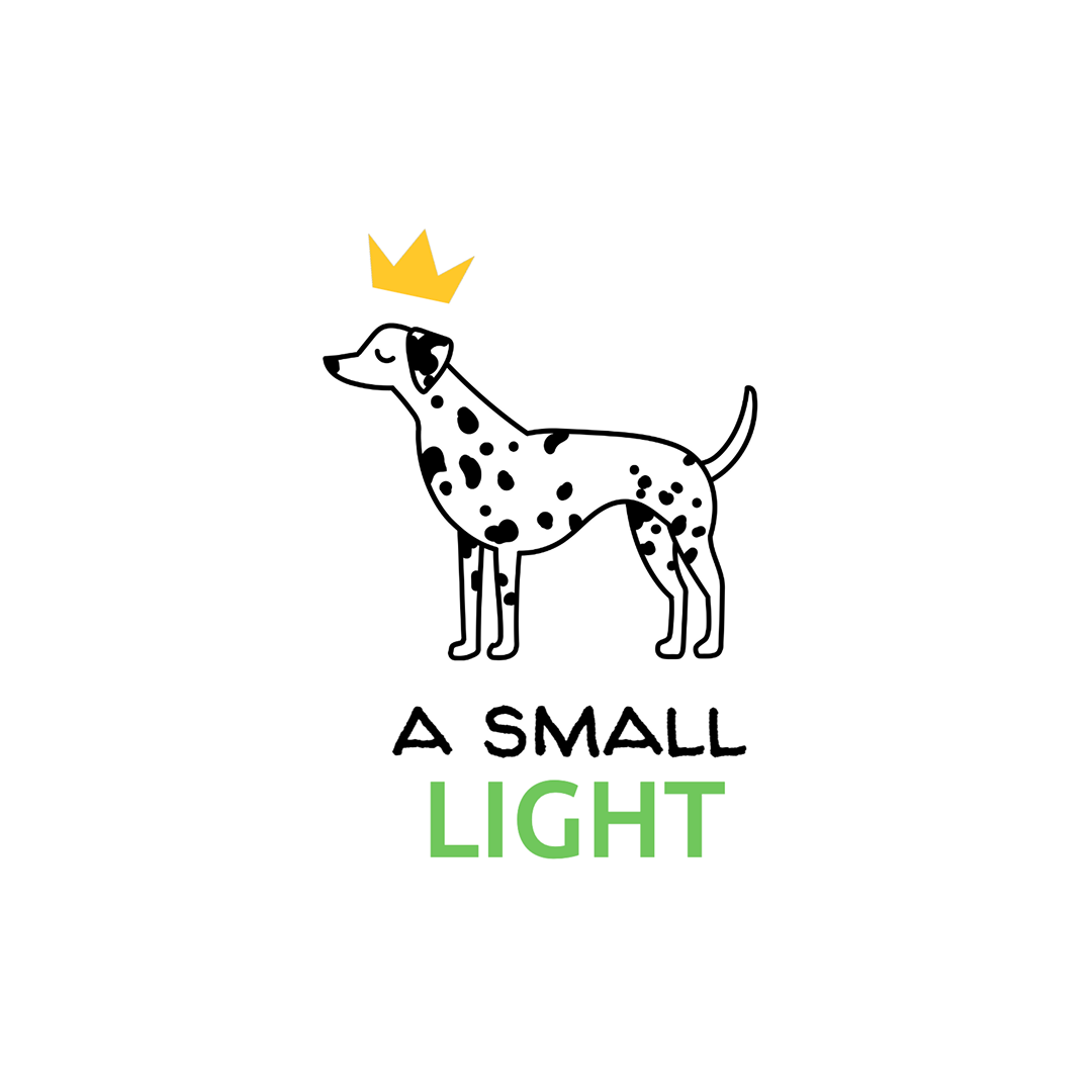 A SMALL LIGHT. Sweat – Gray