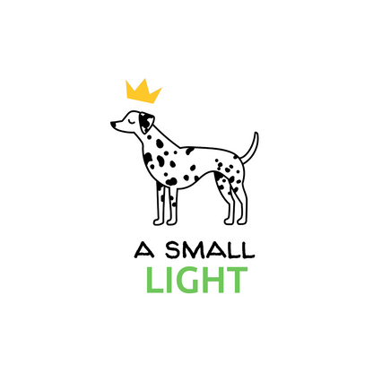 A SMALL LIGHT. Sweat – Gray