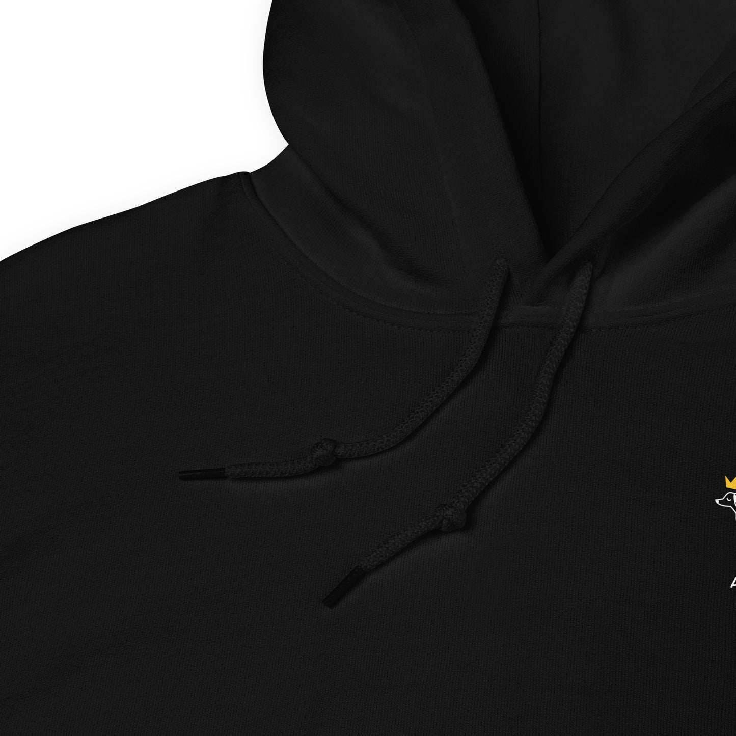 A SMALL LIGHT. Hoodie – Black