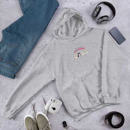 NO FAKE FRIENDS. Hoodie – Gray