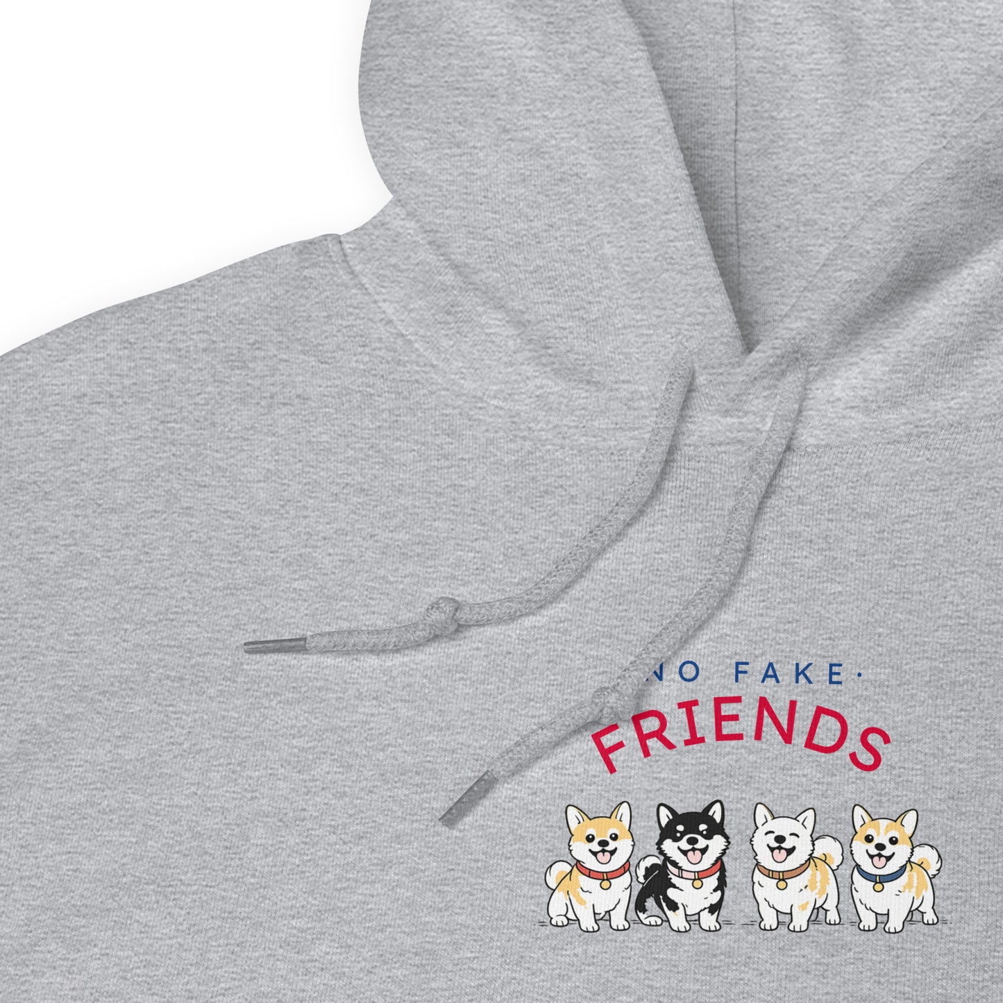 NO FAKE FRIENDS. Hoodie – Gray